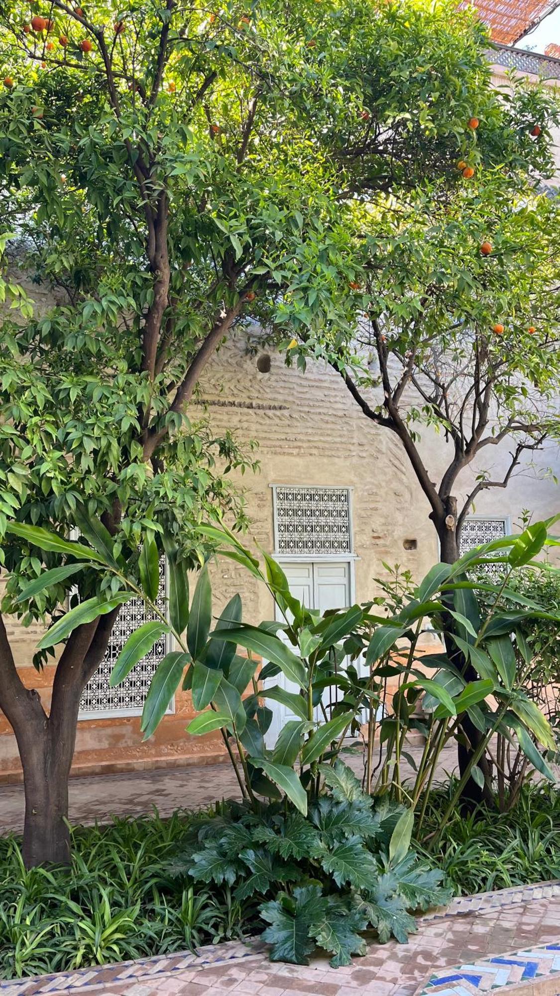 Riad Laila مراكش المظهر الخارجي الصورة