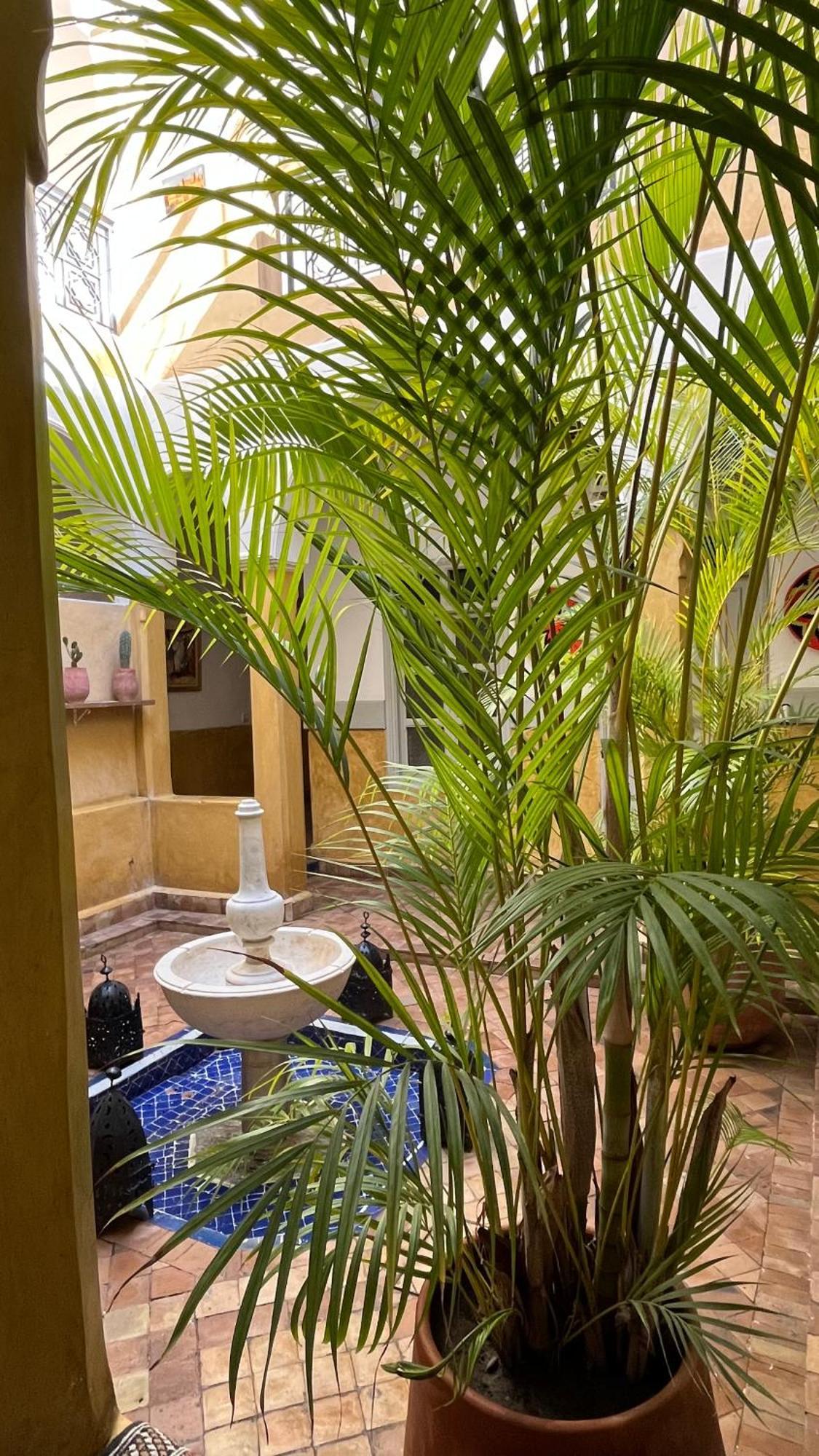 Riad Laila مراكش المظهر الخارجي الصورة